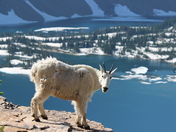 Glacier National Park