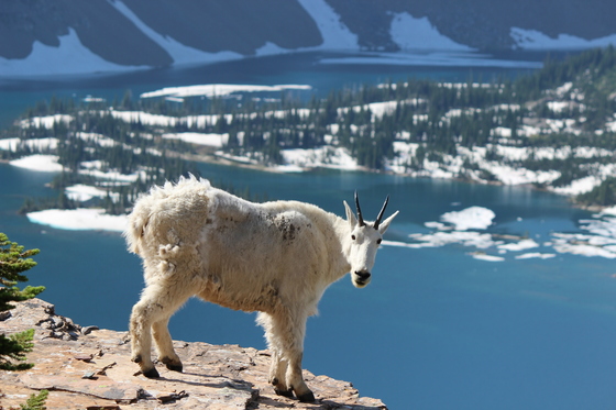 Glacier National Park