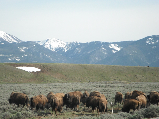 Grand Teton National Park