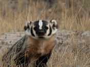 Red Rocks Lake National Wildlife Refuge