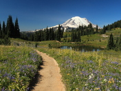 Mount Rainier National Park