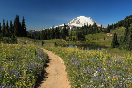 Mount Rainier National Park