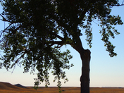 Badlands National Park