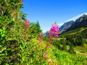 Glacier National Park