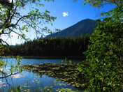 Glacier National Park