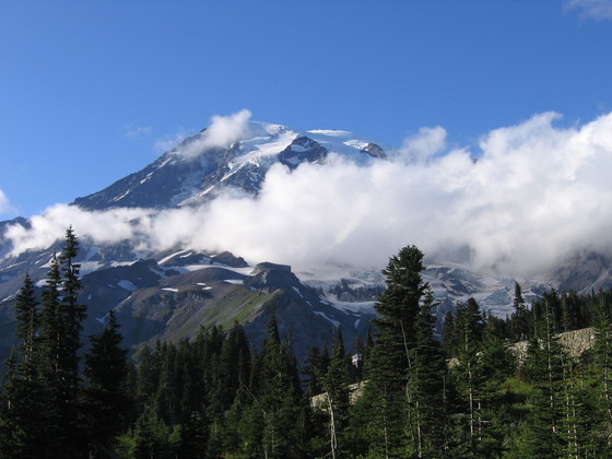 Mt. Rainier National Park
