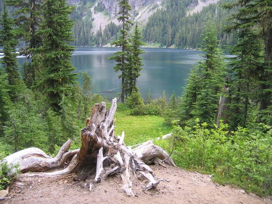 Mt Rainier National Park