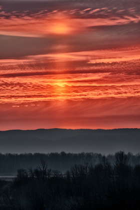 Ridgefield National Wildlife Refuge