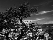 Grand Canyon National Park