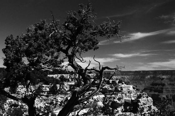 Grand Canyon National Park