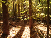 Cuyahoga Valley National Parl