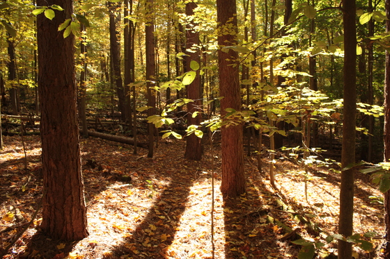 Cuyahoga Valley National Parl