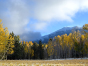 Coconino National Forest