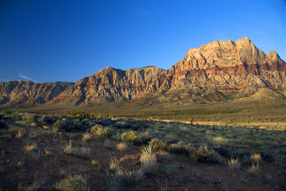 red rock canyon national conservation area