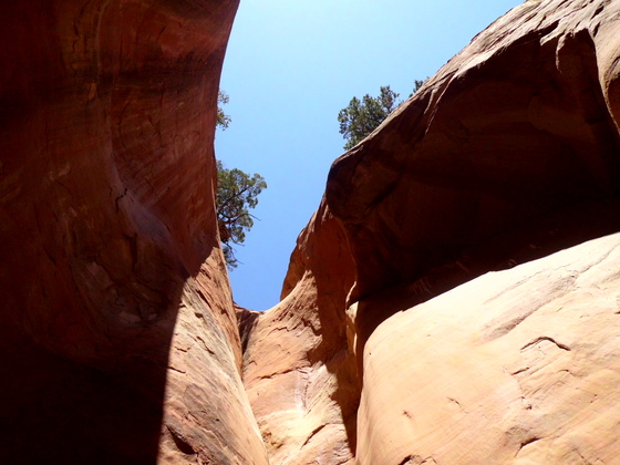 Colorado National Monument