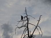 Grand Teton National Park