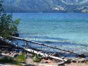 Grand Teton National Park