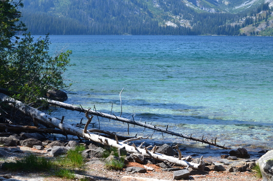 Grand Teton National Park