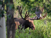 Rocky Mountain National Park