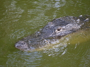 Everglades National Park