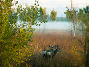 Ouray National Wildlife Refuge