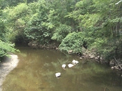 Rock Creek National Park