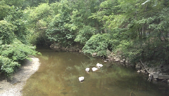 Rock Creek National Park