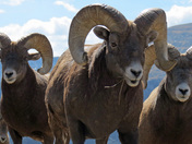 Rocky Mountain National Park