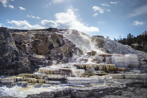 Yellowstone National park