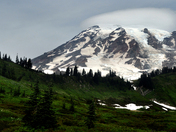 Mt. Rainier National Park