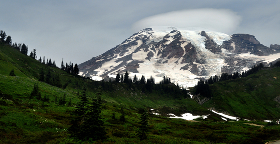 Mt. Rainier National Park