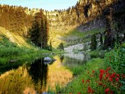 Caribou-Targhee National Forest