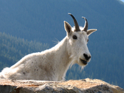 Glacier National Park