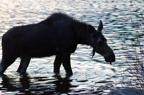 Rocky Mountain National Park