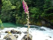 North Cascades National Park