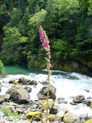 North Cascades National Park