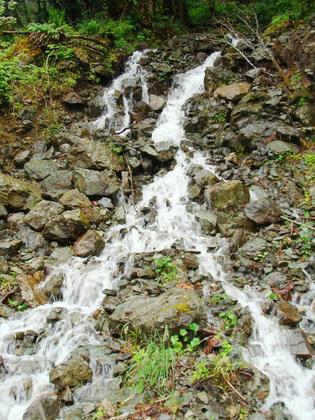 North Cascades National Park