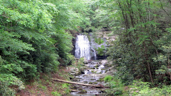 Great Smoky Mountains