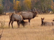 Rocky Mountain National Park