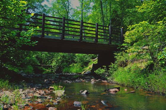 Prince William Forest Park