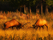 Charles M. Russell Wildlife Refuge