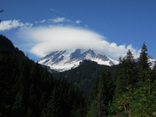 Mt Rainier NP