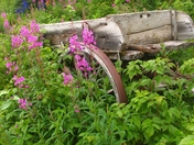 Wrangell-St Elias National Park & Preserve