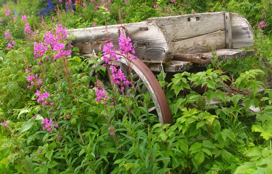 Wrangell-St Elias National Park & Preserve