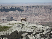 Badlands National park
