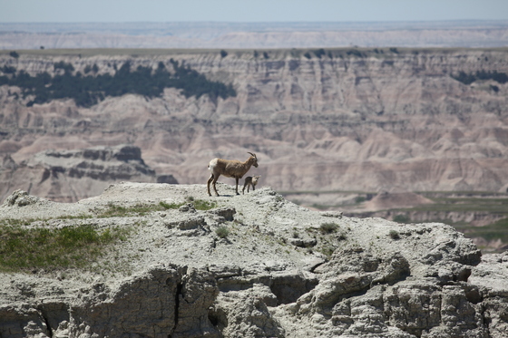 Badlands National park