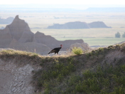 Badlands National park