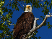 Grand Teton National Park