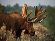Grand Teton National Park