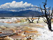 Yellowstone national Park
